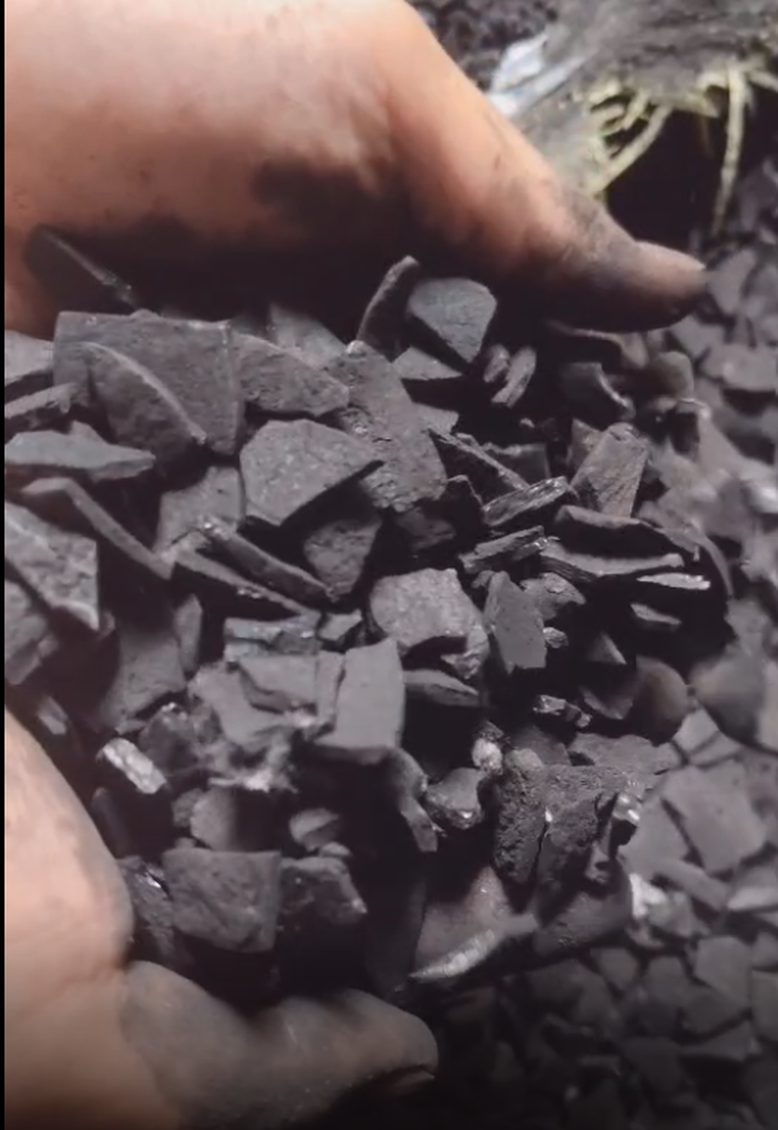 product-1600-1200 product-1600-1200